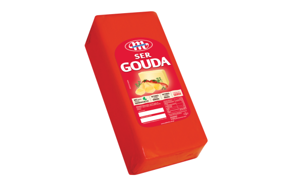 Ser - Gouda Cheese